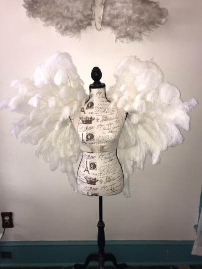 Custom Pageant Wings, Starting at $450. (contact me)  :)