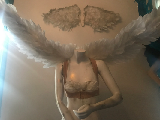 Victoria’s Secret Style Natural White duck Feather Angel wings Wearable Pageant wings/Costume wings/Cosplay Angel Wings